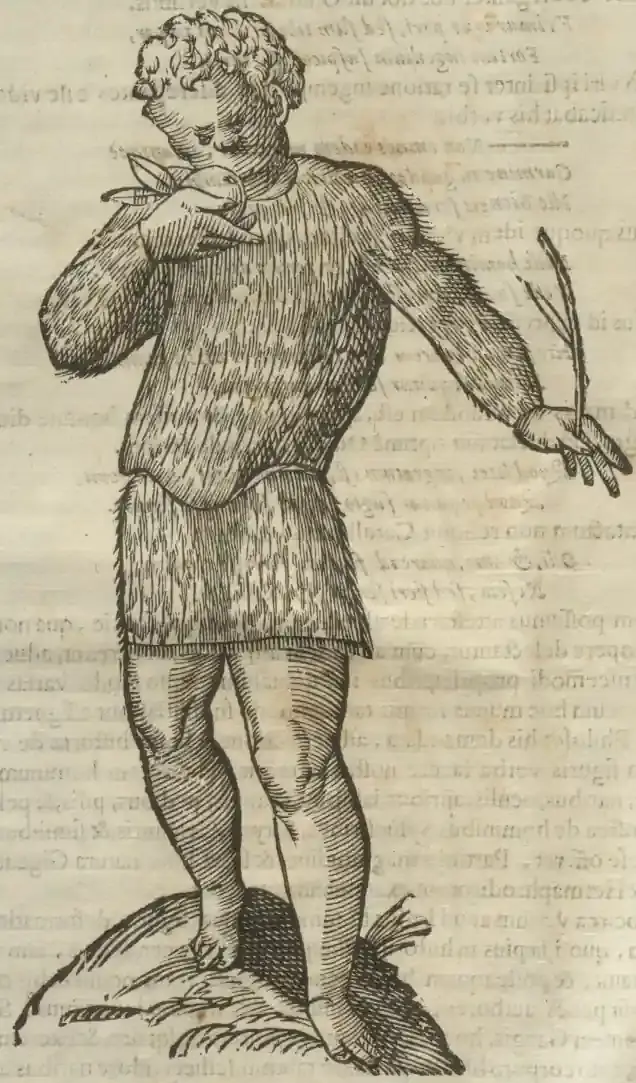 Illustration from page 6