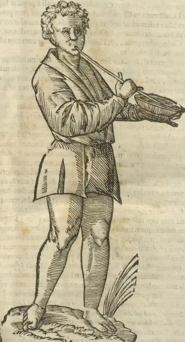 Illustration from page 7