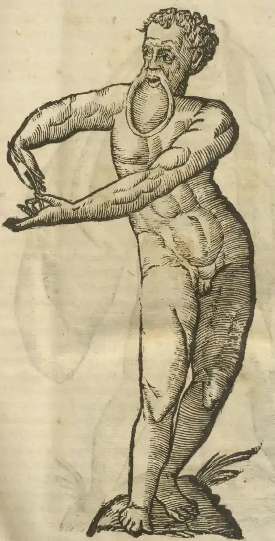 Illustration from page 9