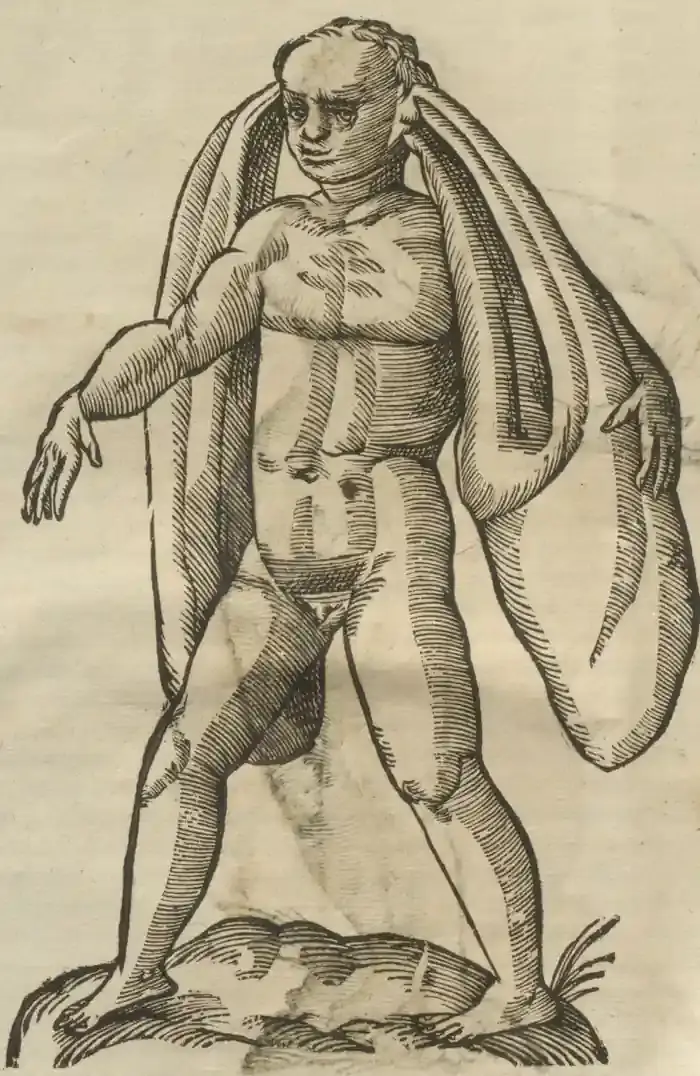 Illustration from page 10