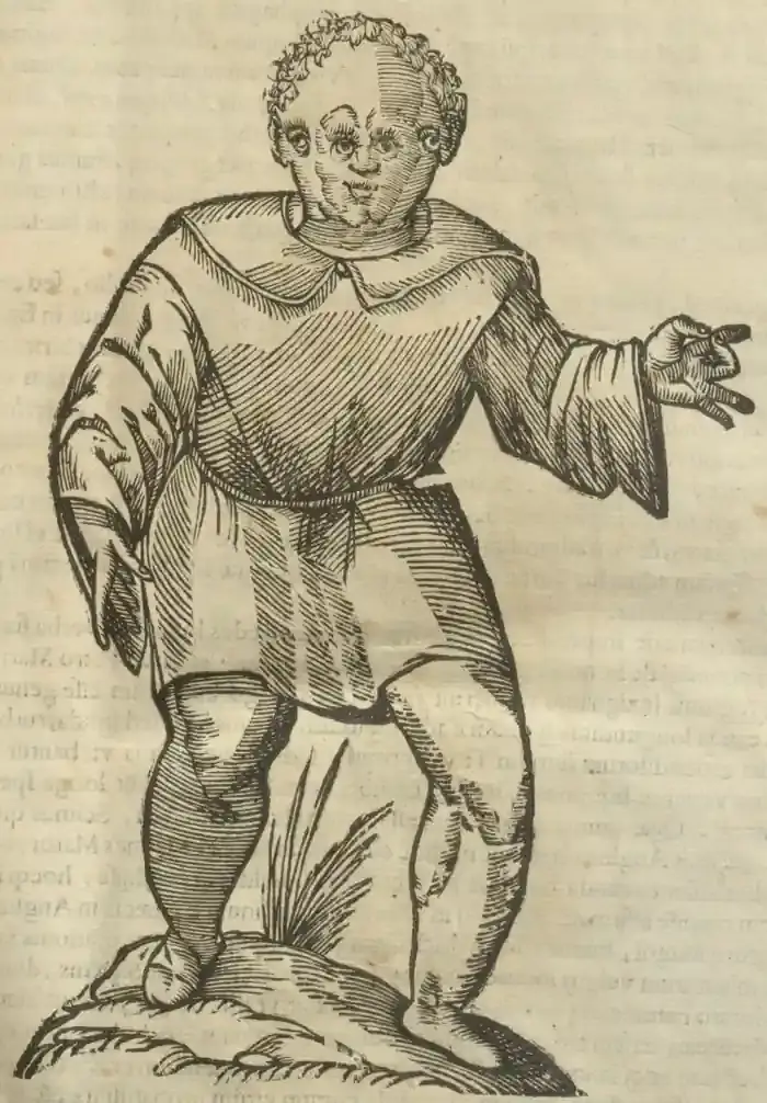 Illustration from page 11