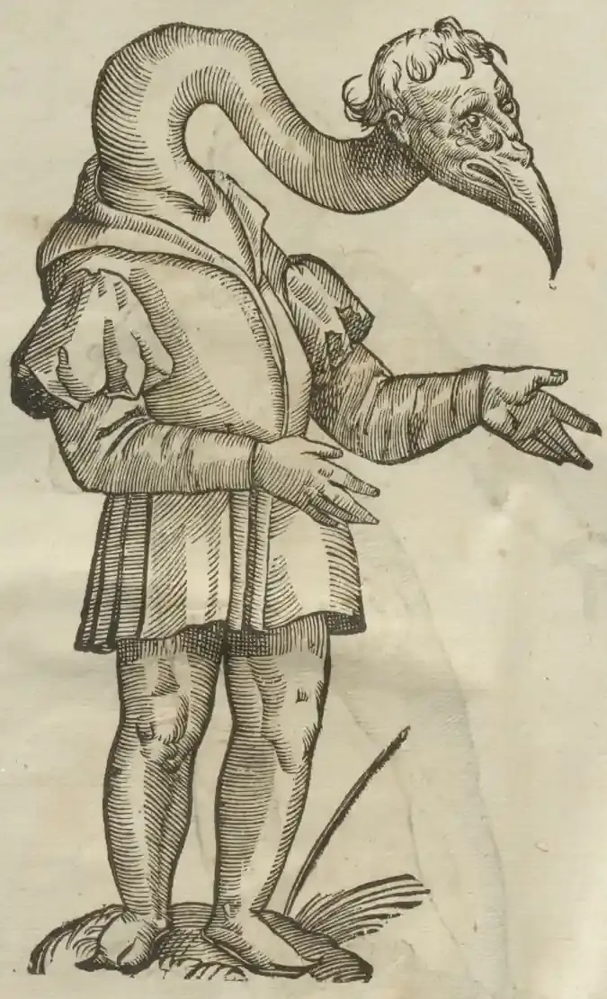 Illustration from page 14