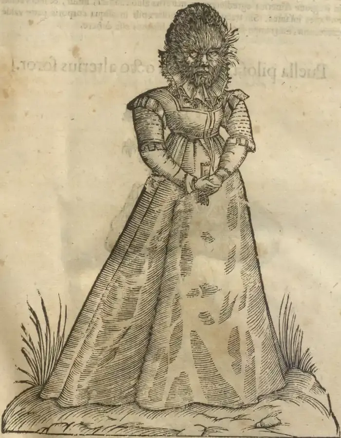 Illustration from page 17