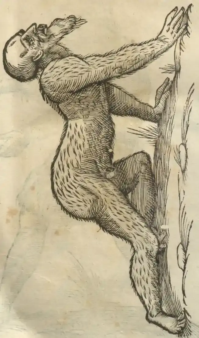 Illustration from page 21