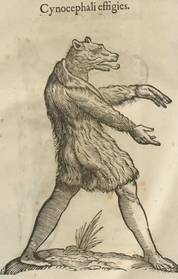 Illustration from page 22