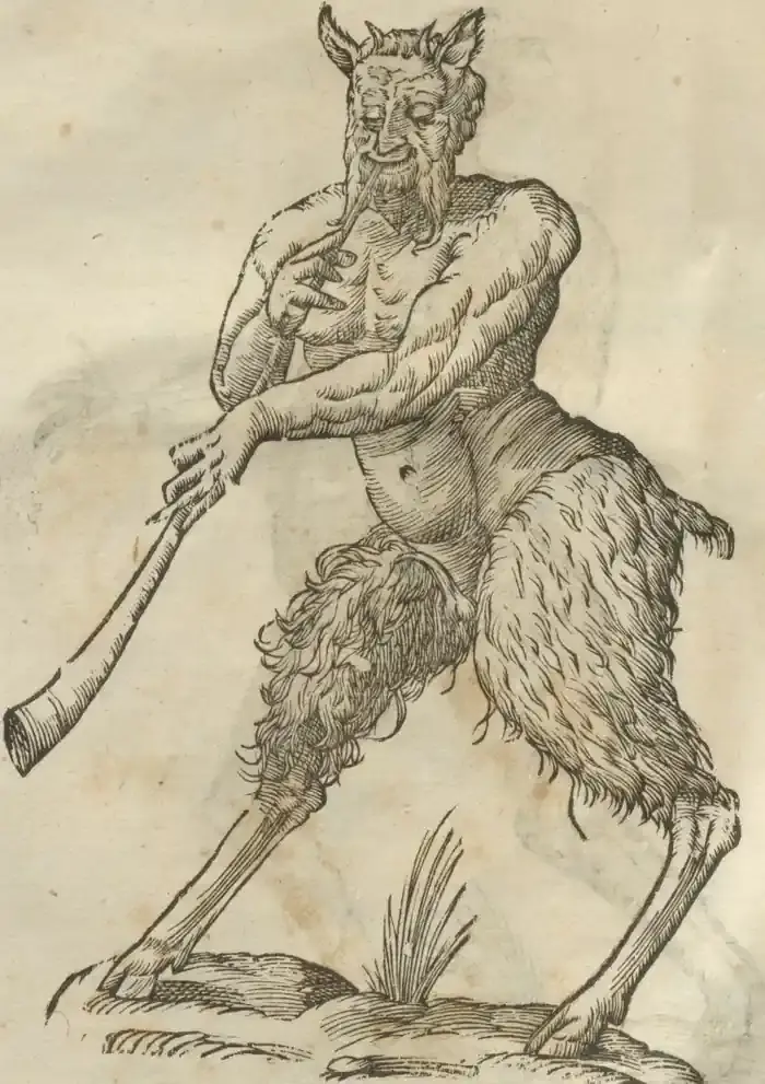 Illustration from page 24