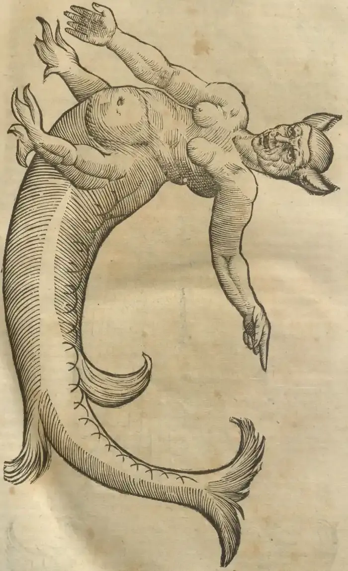 Illustration from page 27