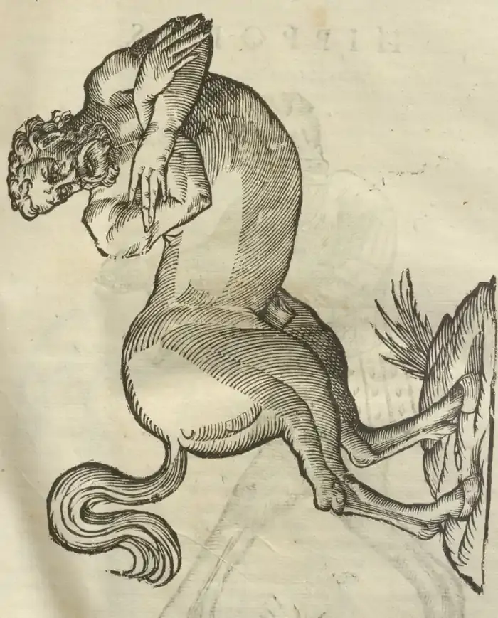 Illustration from page 31