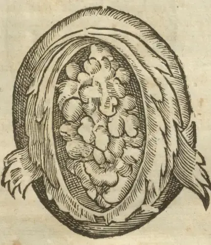 Illustration from page 45