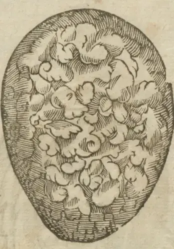 Illustration from page 46