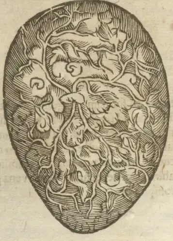 Illustration from page 46
