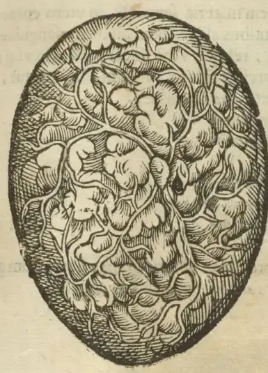 Illustration from page 47