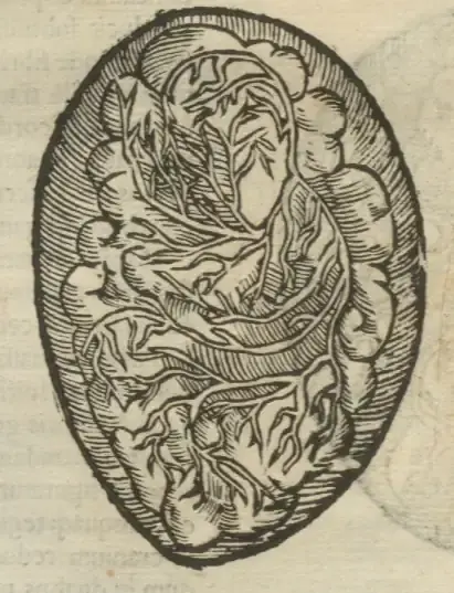 Illustration from page 48