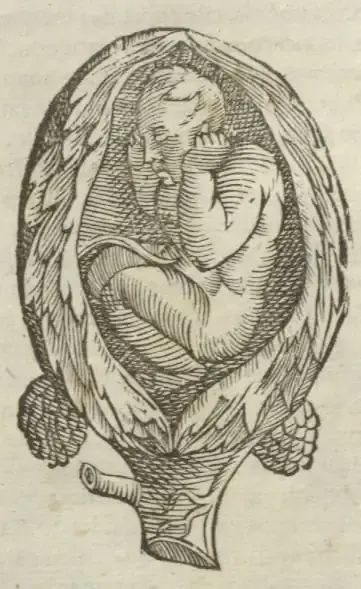 Illustration from page 54