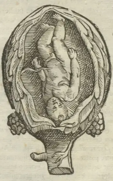 Illustration from page 54