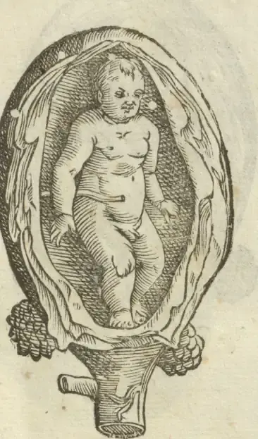 Illustration from page 55