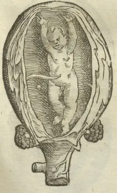 Illustration from page 55