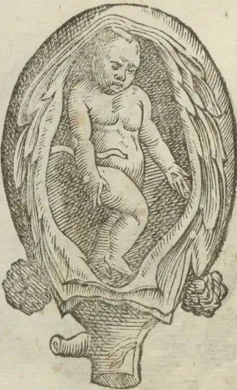 Illustration from page 56