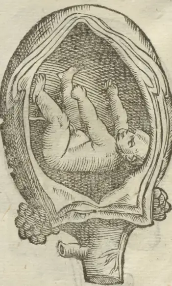 Illustration from page 56