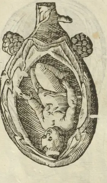 Illustration from page 57