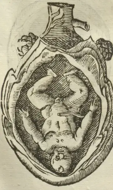 Illustration from page 57