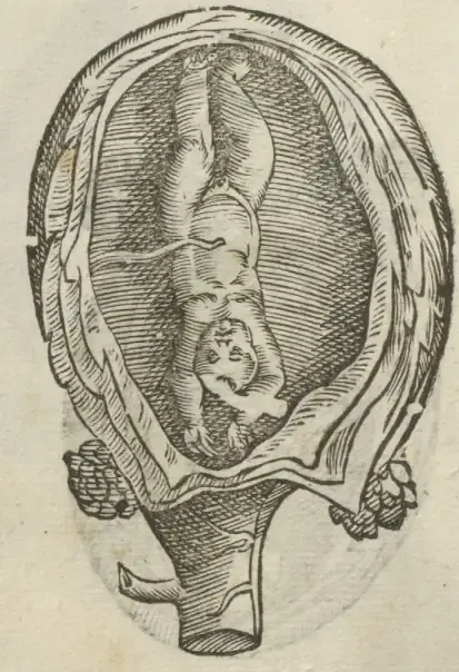 Illustration from page 58