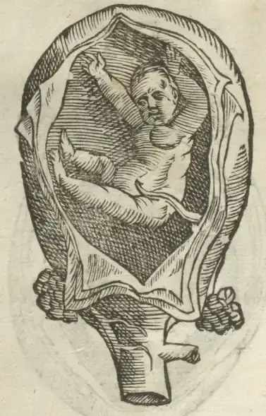 Illustration from page 58