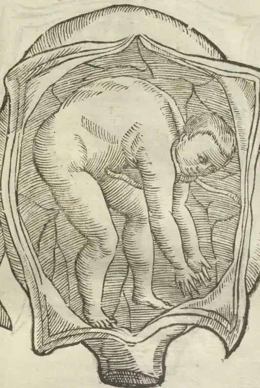 Illustration from page 59