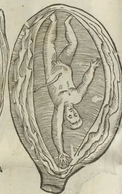 Illustration from page 60