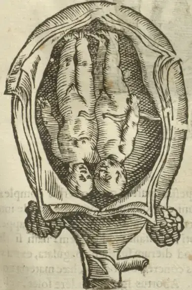 Illustration from page 61