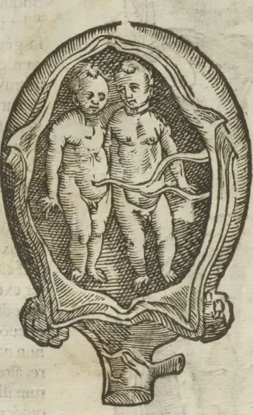 Illustration from page 62