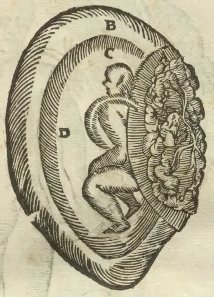 Illustration from page 63