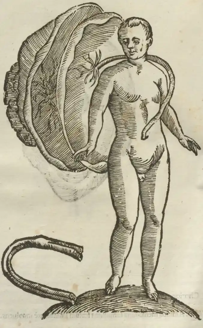 Illustration from page 64
