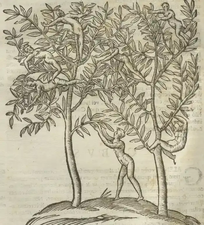 Illustration from page 74