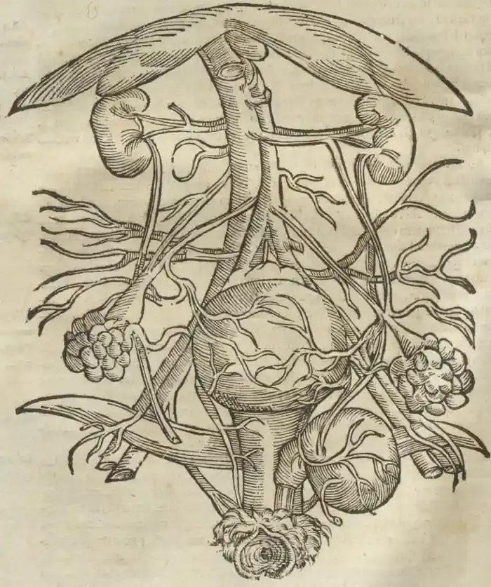 Illustration from page 82