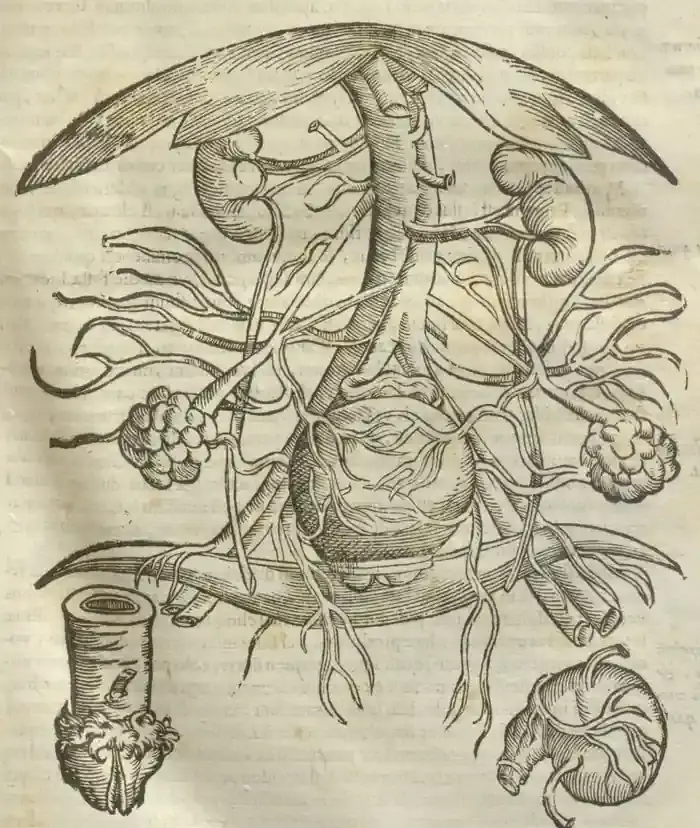 Illustration from page 83