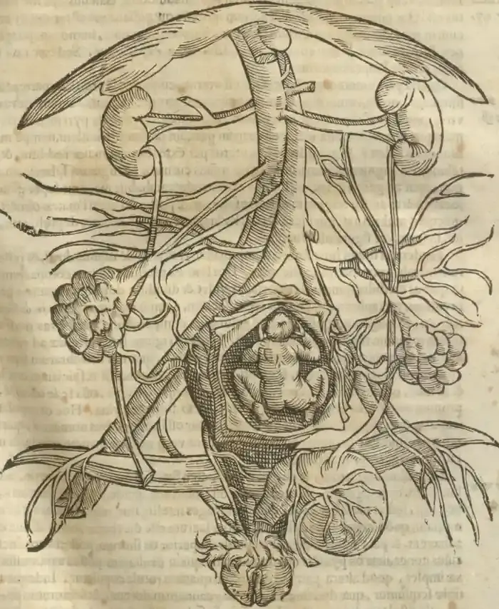 Illustration from page 85