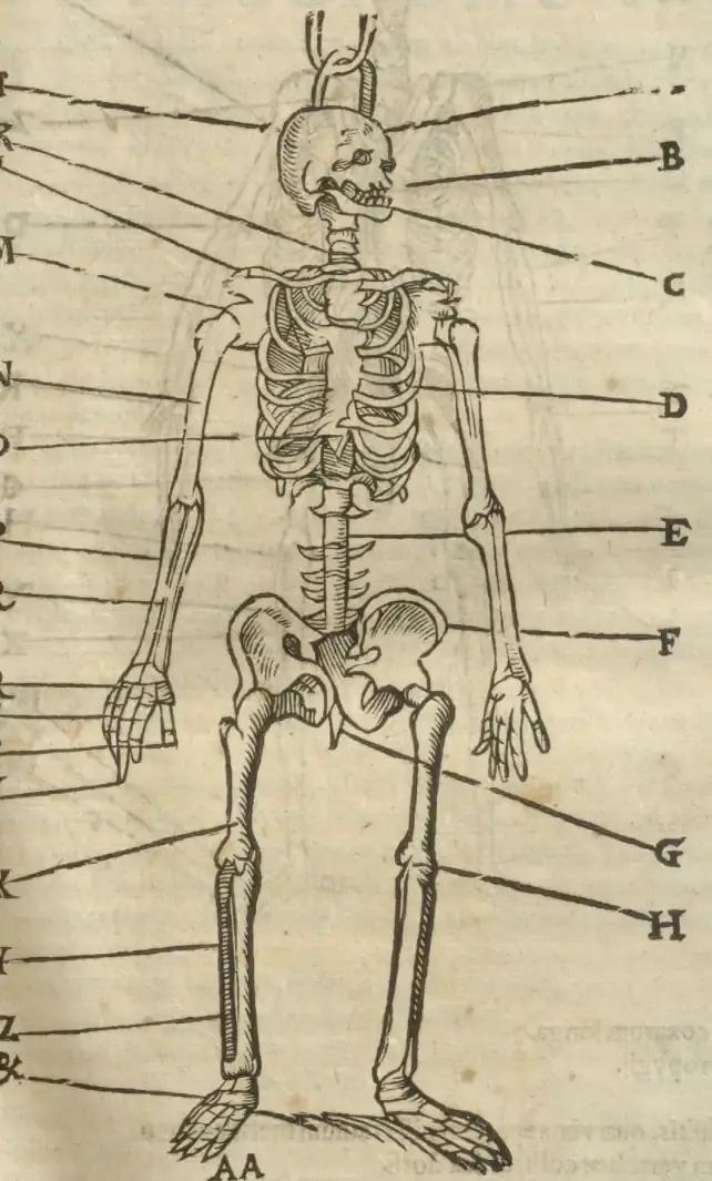 Illustration from page 87