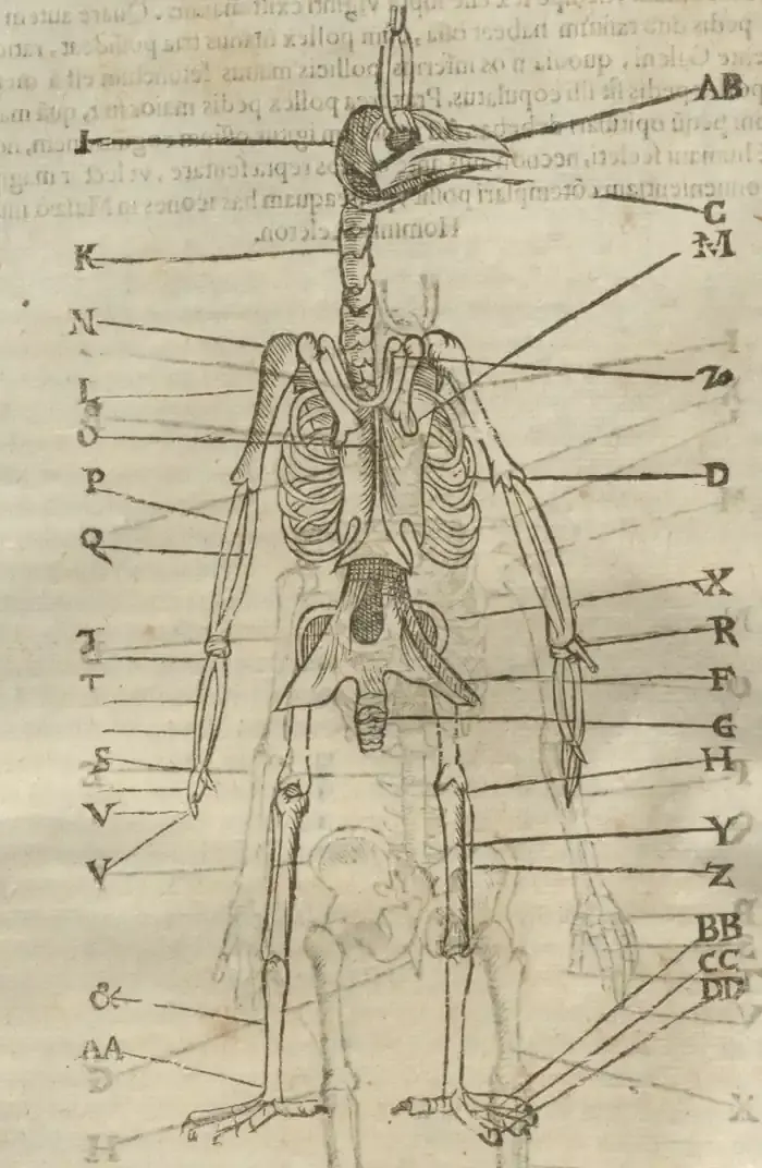 Illustration from page 88