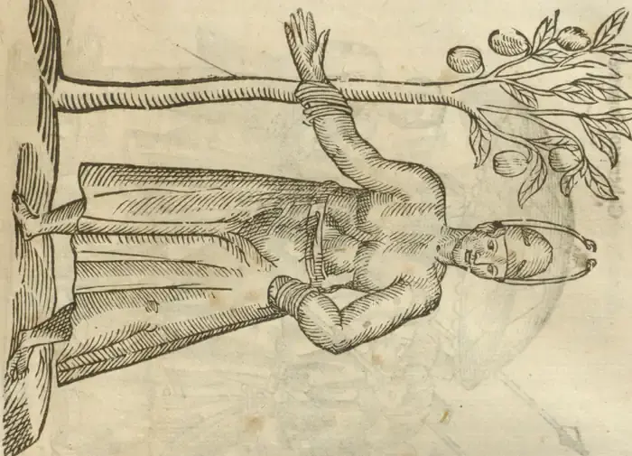 Illustration from page 99