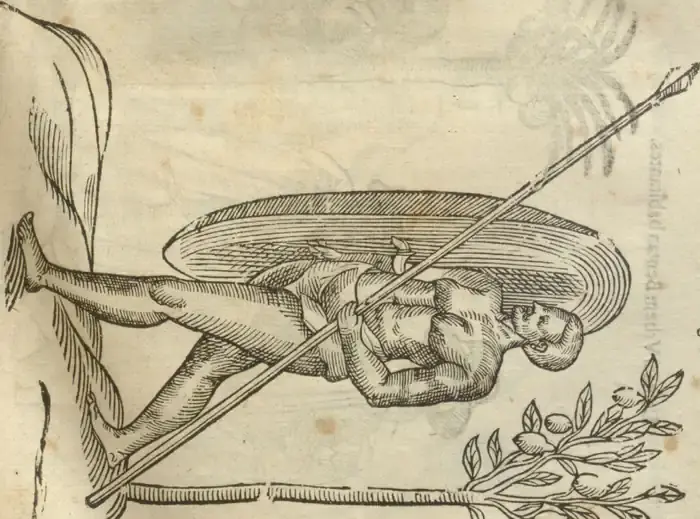 Illustration from page 99