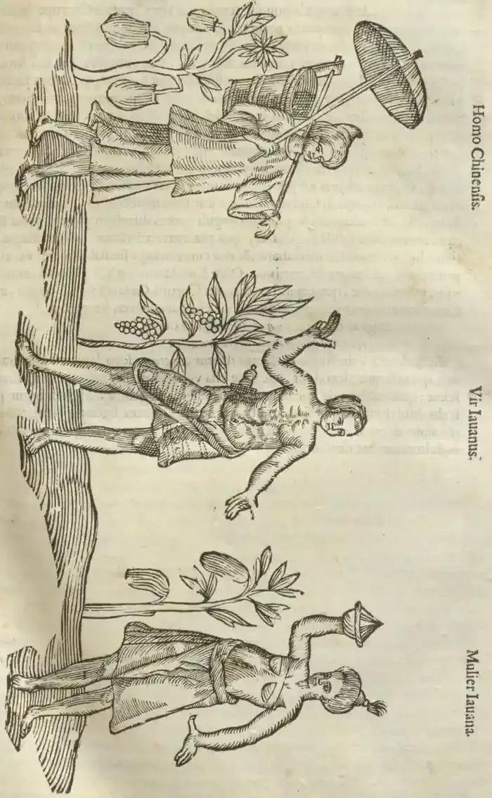 Illustration from page 101