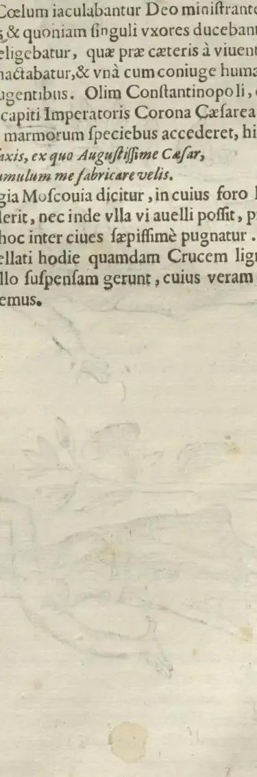 Illustration from page 102