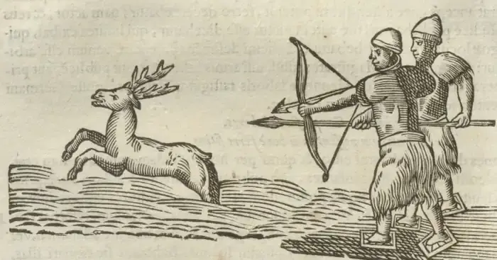 Illustration from page 104