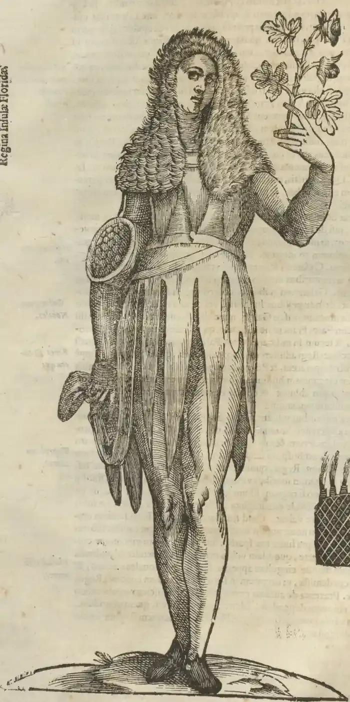 Illustration from page 106