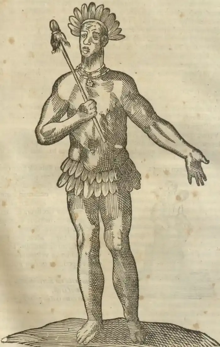 Illustration from page 109