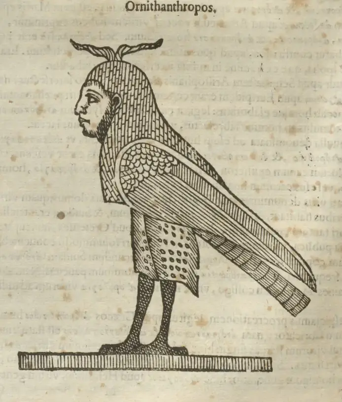 Illustration from page 134