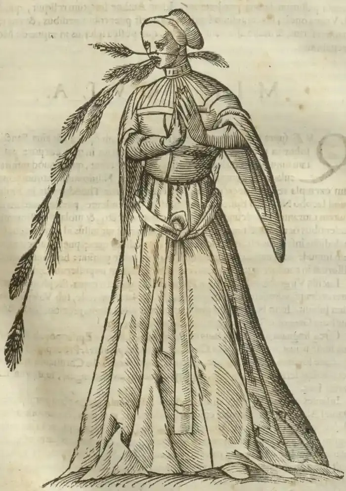 Illustration from page 147