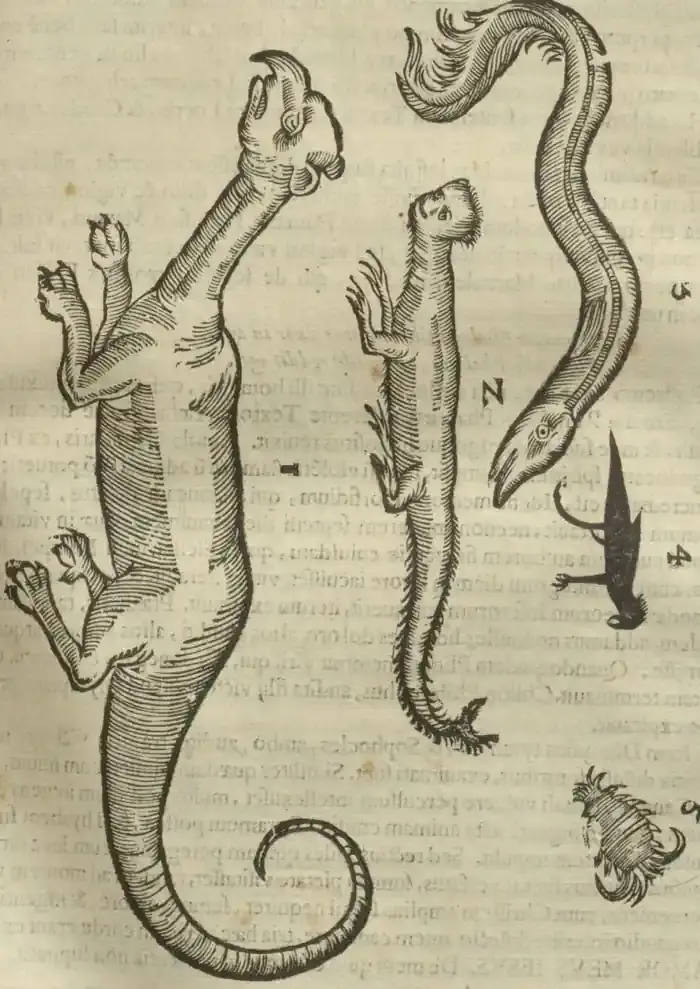 Illustration from page 219