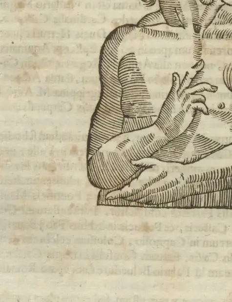 Illustration from page 304